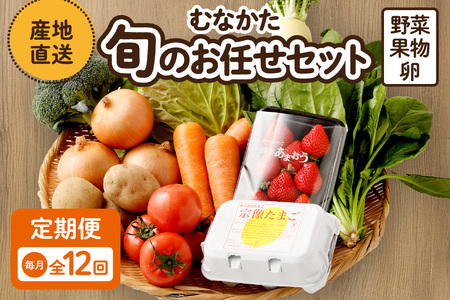【毎月お届け】むなかた旬のお任せセット 野菜 フルーツ 卵 9～11品 _HB0194 | 定期便 詰め合わせ