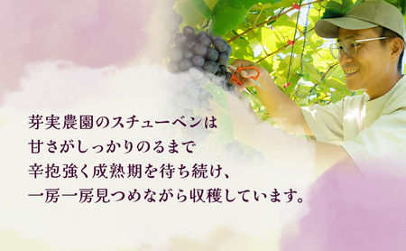 芽実農園のぶどうジュース（スチューベン100％）720ml×6本 青森県鶴田町産スチューベン使用