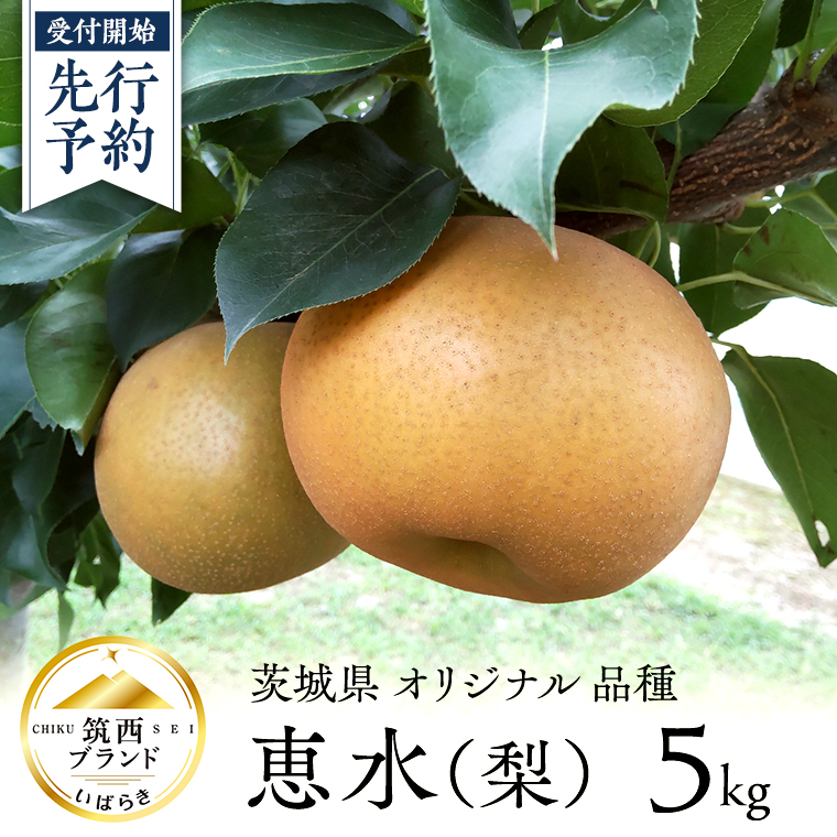 【 JA 北つくば 】 筑西ブランド 認証品 恵水 5kg 2026年産 先行予約 梨 果物 フルーツ なし ナシ 赤梨 贈り物 贈答 贈答用 [AE024ci]
