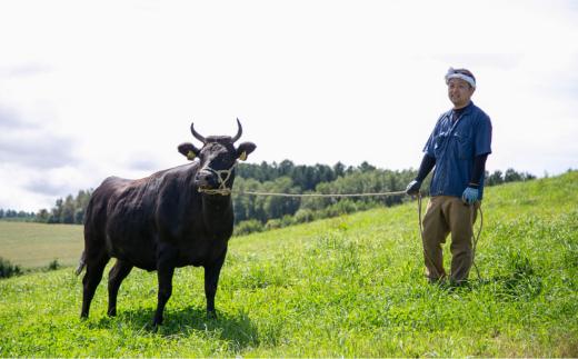 ミート矢澤 YAZAWA BEEF＜矢澤牛＞ハンバーグ定期便 ８個×６ヶ月[282-01]