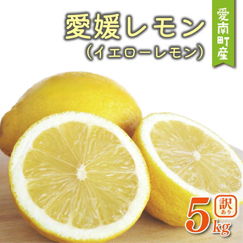 【ふるさと納税】 訳あり 愛媛 レモン （ イエローレモン ） 5kg 5000円 柑橘 サイズ 不揃い 家庭用 檸檬 国産 果物 瀬戸内 ワックス 防腐剤 不使用 果汁 人気 新鮮 レモネード 塩レモン はちみつレモン レモンサワー レモン酎ハイ規格外 愛南町 愛媛県 果樹園みどり