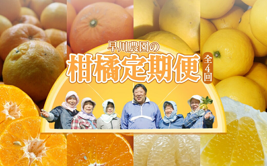 【ふるさと納税】【令和8年発送】　柑橘フルーツ4回定期便（ぽんかん3kg・麗紅3kg・文旦5kg・小夏3kg）みかん4種 定期便 果物 果実 柑橘 フルーツ デザート おやつ 美味しい おいしい 国産 ギフト プレゼント 贈答 高知県 高知 土佐清水 故郷納税 【J00018】