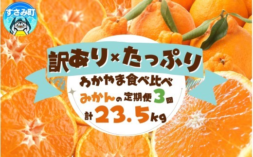 
                  【3回定期便】【1・2・3月】たっぷり届く♪訳ありみかんの定期便 / 訳あり 有田みかん 果物 フルーツ 柑橘 みかん ミカン くだもの 定期便 訳ありみかん 和歌山 オレンジ 有田ミカン 蜜柑 【tkb113】
                