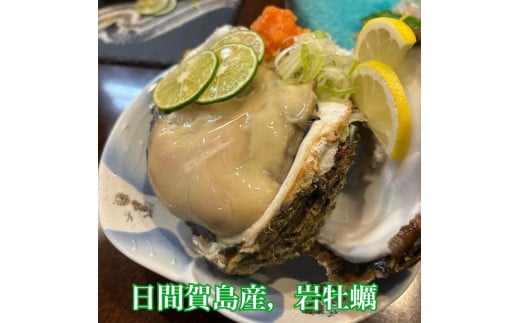 日間賀島産 天然 岩牡蠣 6kg (6~8個) 岩牡蠣 牡蠣 かき 魚貝類 魚貝類 貝 かい 魚介類 海鮮 夕食 ごはん 鮮度抜群 冷蔵 新鮮