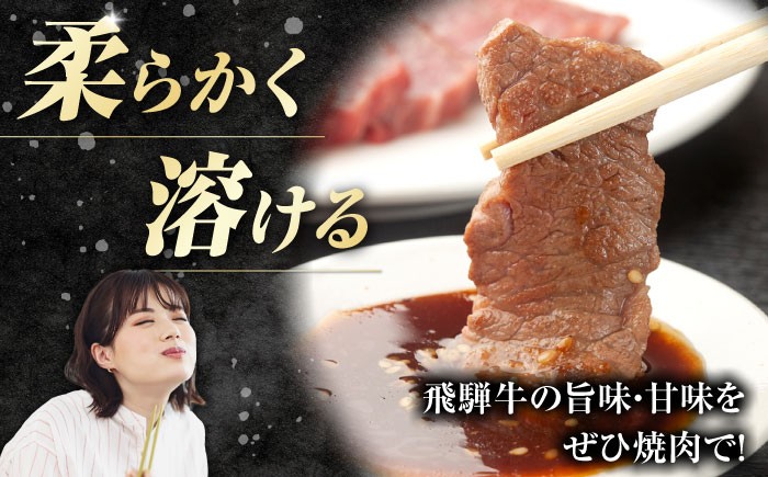 焼肉 牛肉 和牛 飛騨牛 肩ロース 焼肉 小分け 岐阜県