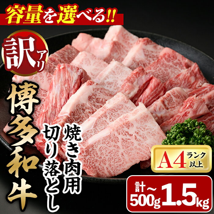 【ふるさと納税】＜容量を選べる！訳あり・不揃い＞博多和牛焼肉切り落とし(肩ロース・バラ)(計500g～1.5kg) 牛肉 黒毛和牛 国産 BBQ 化粧箱 贈答 ギフト プレゼント ＜離島配送不可＞【ksg1405・ksg1406・ksg1722】【MEATPLUS】