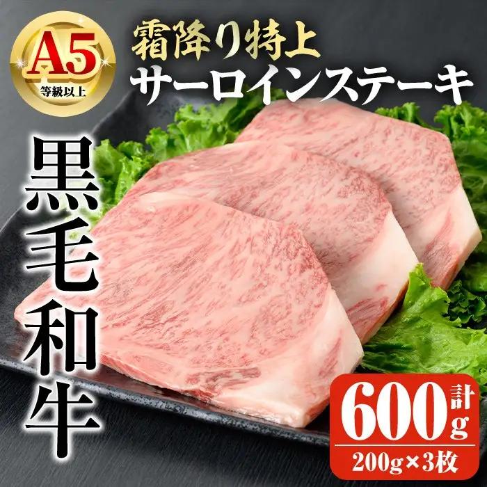 鹿児島県産 A5等級以上 黒毛和牛 霜降り サーロイン ステーキ 計600g(200g×3枚)  牛肉 【ビーフ倉薗】C42