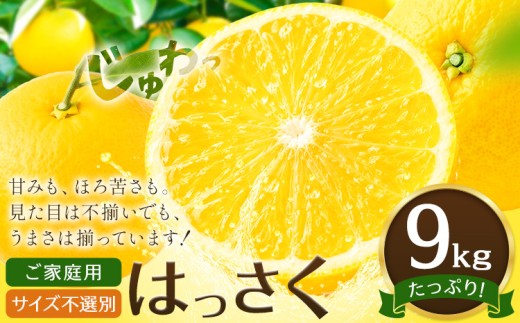 八朔 はっさく ご家庭用 サイズ不選別 9kg《2月上旬-2月下旬頃出荷》八朔 柑橘 果物 フルーツ 訳あり 規格外 傷あり 徳島県 美馬市 送料無料