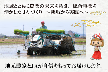 【令和5年産】【定期便】【10ヶ月連続お届け】 BG無洗米 みずかがみ 計100kg（10kg × 10回）