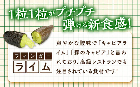 フルーツ 果物 くだもの 新感覚フルーツ！ 森のキャビア フィンガーライム 50g×4パック 柑橘 柑橘類 国産 ライム フルーツ 果物 くだもの 広島県産 江田島市/小原農園[XCE011]