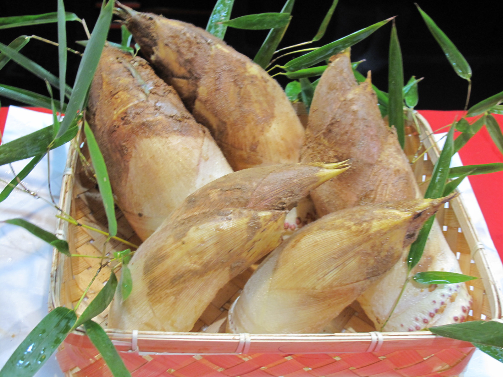 
                  ［先行予約］京野菜「京筍」採れ採れ発送（特選上物3kg）◇《タケノコ たけのこ 京野菜タケノコ野菜 京筍タケノコ野菜 採れ採れタケノコ野菜 特選タケノコ野菜 上物タケノコ野菜 3kgタケノコ野菜 タケノコ たけのこ 竹の子 タケノコ料理 タケノコご飯 野菜 京タケノコ 京都タケノコ 京筍 京都》
※2026年3月下旬頃から順次発送予定
※北海道・沖縄・離島への発送不可
                