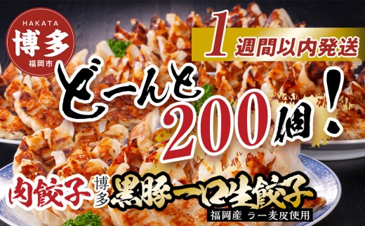 
            【200個!!】【福岡ブランド】博多黒豚一口生餃子 8パック小分　福岡県産ラー麦皮使用　創業40年以上福岡会社製造　【1週間以内に発送！】
          