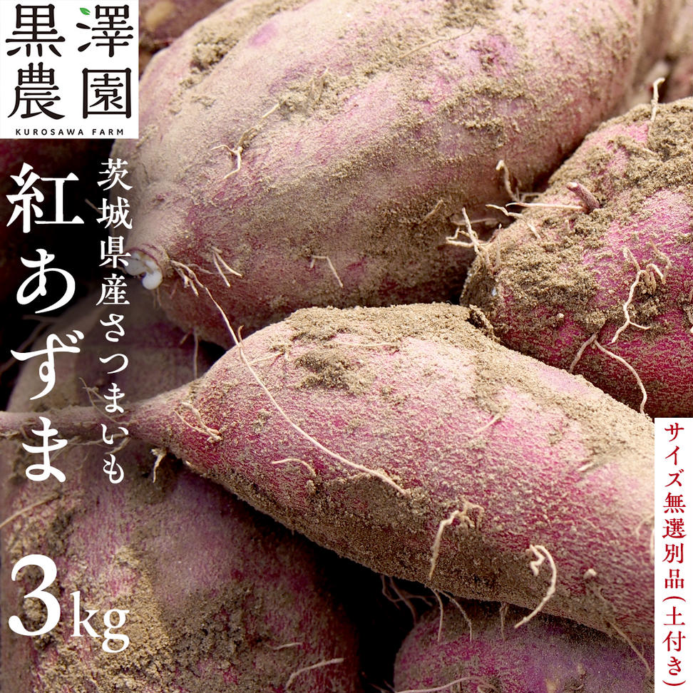 【茨城県産】さつまいも 紅あずま 3kg サイズ無選別品(土付き) 芋 サツマイモ 甘い 焼き芋 国産 おいしい 天ぷら 煮物 スープ 大学芋 [DS03-NT]