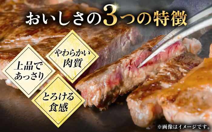 [1食分小分け!] 【黒毛和牛】 壱岐牛 切り落とし 500g（100g×5パック）《壱岐市》【土肥増商店】[JDD043] 国産牛 牛肉 肉 お肉 和牛 ギフト 贈答 ゴチになります 壱岐牛＼ぐるナ