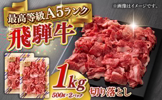 【6月発送】A5等級 飛騨牛 切り落とし 1kg(500g×2パック) ブランド牛 最高級 A5ランク 岐阜市 / 三心 [ANGY015-6]