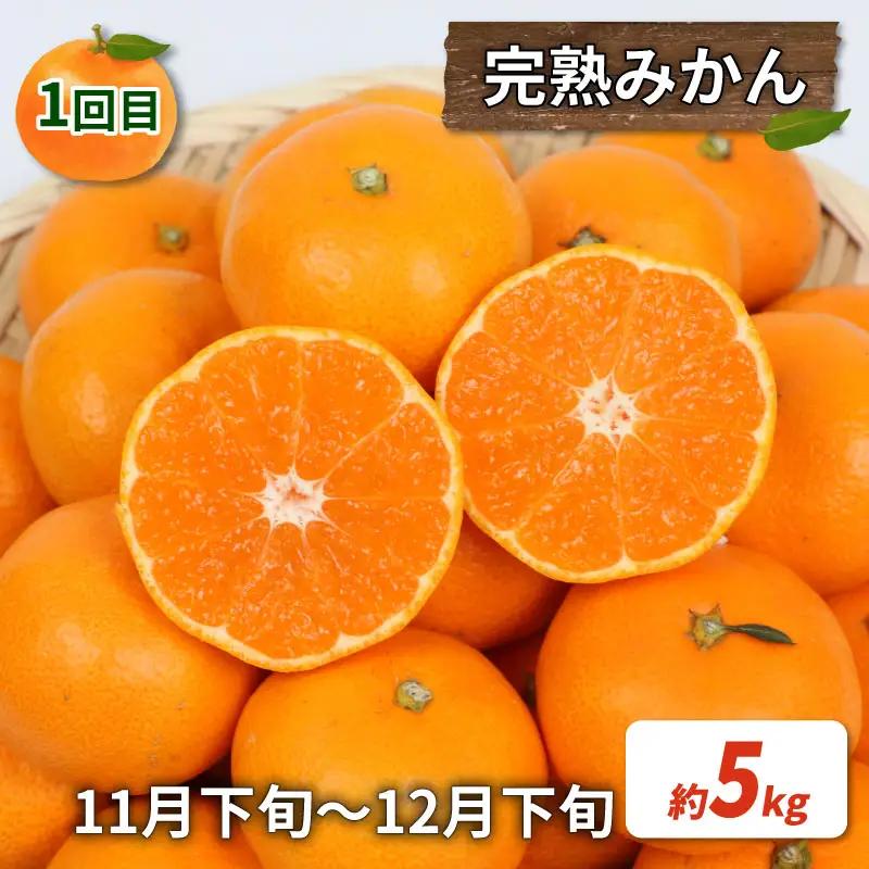 訳あり 旬 の 柑橘定期便 全4回 杉本屋 不知火 デコポン ( デコポン と同品種) 完熟 みかん ポンカン 土佐 文旦 B040-143024