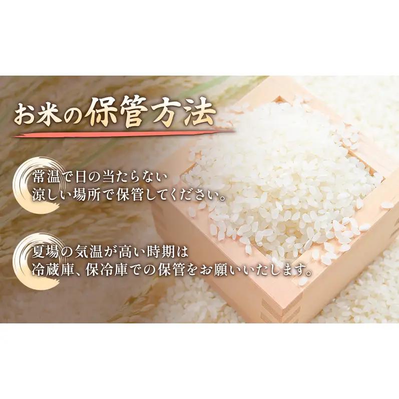 【先行予約】特別栽培米 新之助 5kg 山本農園 新之助
