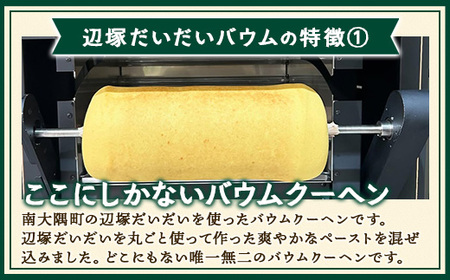 バウムクーヘン  ≪極≫ 辺塚だいだい 直径約15cm SH-713 │バウムクーヘン バームクーヘン スイーツ ケーキ 辺塚 へつかだいだい 柑橘 焼き菓子 洋菓子 お菓子 おかし おやつ デザート