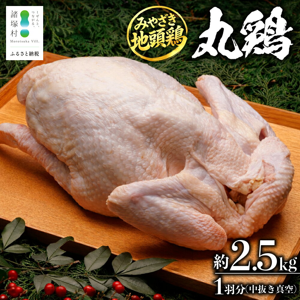 【ふるさと納税】みやざき地頭鶏 1羽 中抜き 丸鶏 セット 冷凍｜鶏肉 地鶏 丸鶏 1羽まるごと ロースト チキン じとっこ 真空パック 興洋開発株式会社 宮崎県 諸塚村 KY-16