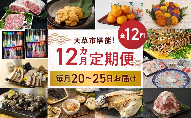 
S999-T04_【定期便12回】天草市堪能12ヵ月定期便
