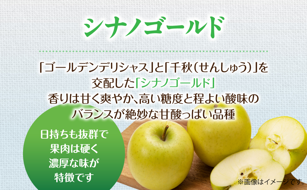 【先行予約】＜2026年11月上旬よりお届け＞北海道壮瞥町　りんご　品種名「シナノゴールド」8～10玉約3kg SBTF020