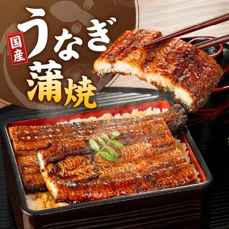 うなぎの蒲焼 2尾セット（特大サイズ 一尾 170g～200g）_うなぎ 蒲焼 2尾 セット 特大サイズ 一尾170g～200g たれ付き 鰻専門問屋 樋口商店 鹿児島 宮崎 国産 ジャポニカ種 真空