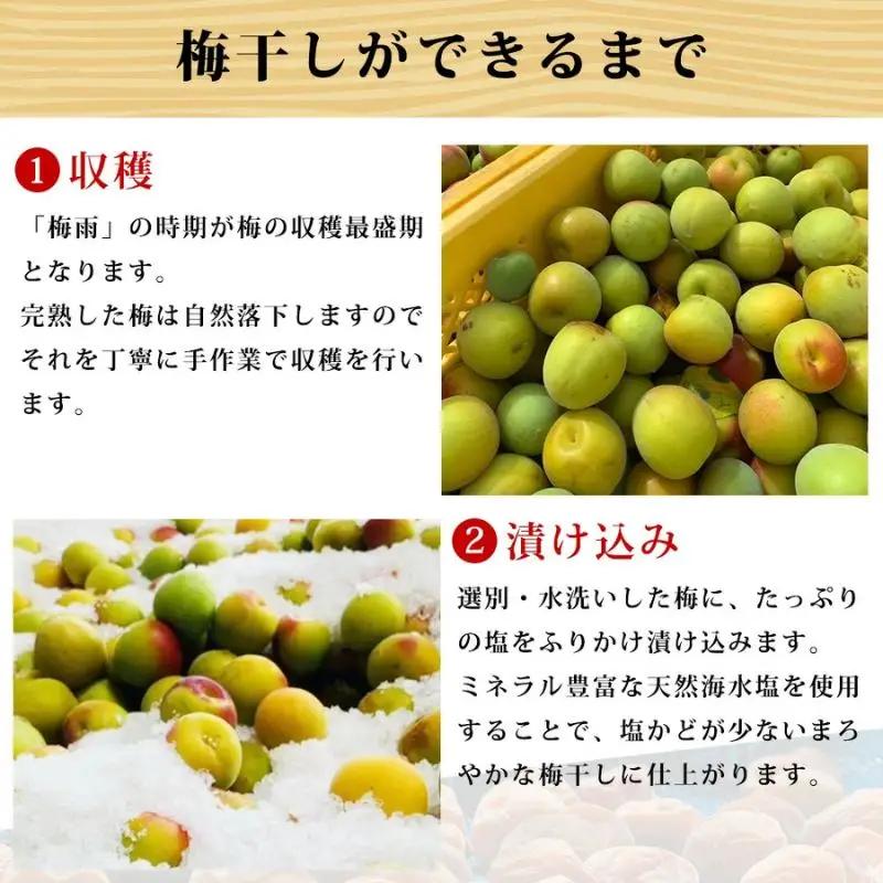 紀州南高梅 大トロつぶれ梅 300g×3個／塩分5％　【mryms003】