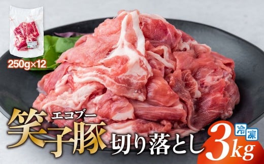 豚肉 切り落とし 小分け 3kg (250g×12) 真空パック 冷凍 笑子豚  岩手県 金ケ崎町 令和6年1月以降順次発送