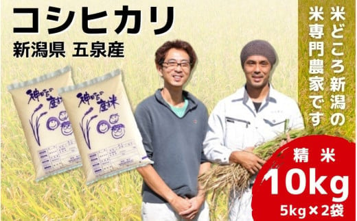 
令和6年産 新米「わくわく農場」の新潟県五泉産コシヒカリ 精米 10kg（5kg×2袋）新潟県 五泉市 わくわく農場
