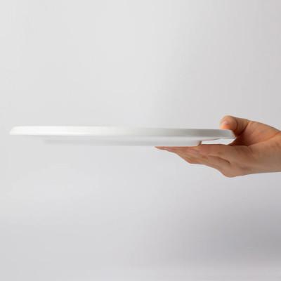 ふるさと納税 白山市 NIKKOの24cmプレート5枚セット「ディスク」《ニッコー食器》(11400-0024-5) |  | 01