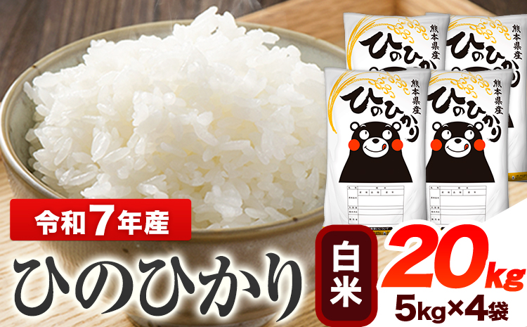 令和7年産 ひのひかり  白米 20kg 《7-14日以内に出荷予定(土日祝除く)》 熊本県産 白米 精米 ひの 送料無料 熊本県 山江村---ym_hn7_wx_43000_20kg_h---