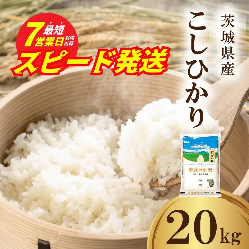 【令和7年産】スピード発送米 こしひかり 白米 20kg [A-rin004]