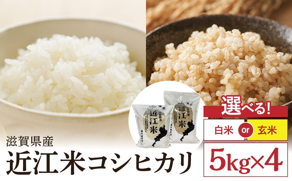 
                  令和7年産　近江米コシヒカリ（白米・玄米）5kg×4　計20kg
                