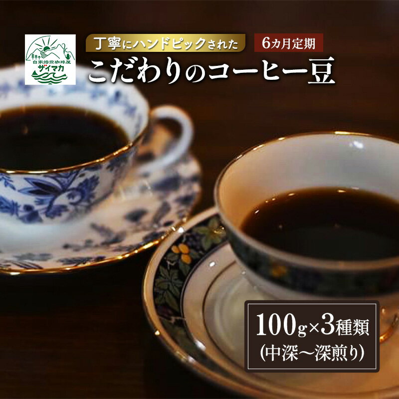 【ふるさと納税】【6ヵ月定期便】丁寧にハンドピックされたこだわりのコーヒー豆100g×3種類(中深～深煎り)【豆】 珈琲 コーヒー豆 珈琲豆 豆 焙煎 自家焙煎 セット