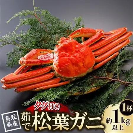 【先行予約】鳥取県産 タグ付き 茹松葉がに 1kg以上×1杯(中村商店)26年12月・27年1月発送【配送不可地域：離島・北海道・沖縄県・東北・信越、北陸】【1648751】