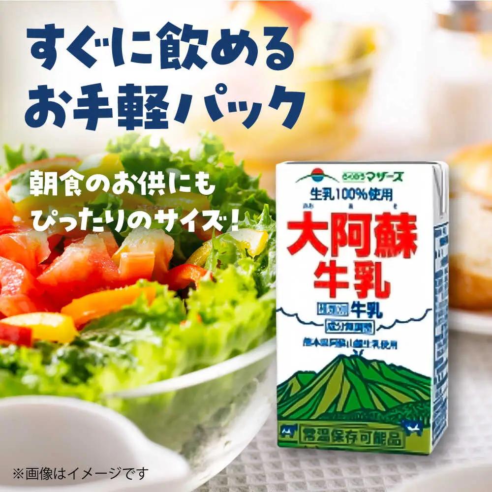大阿蘇牛乳 250ml×24本入 牛乳[AYAB021]