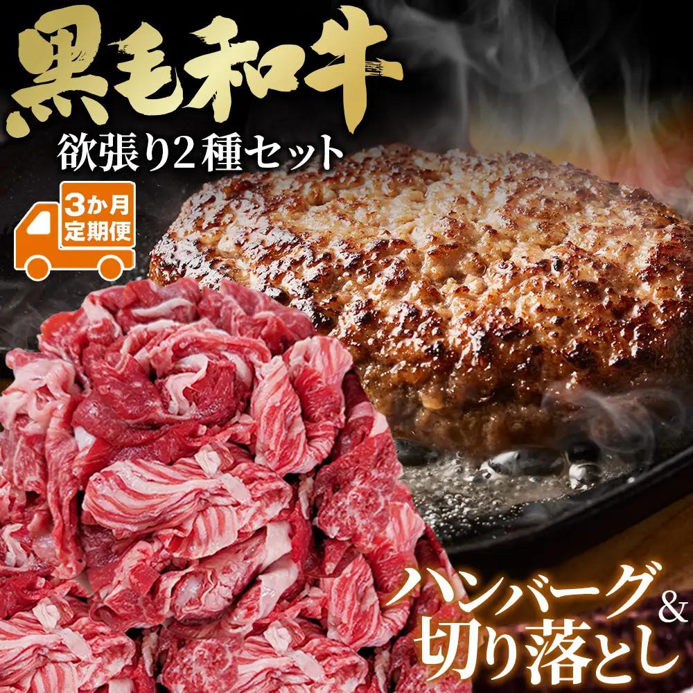 【3か月定期便】黒毛和牛欲張りセット（切り落とし250g・ハンバーグ 120g×8個） No.634