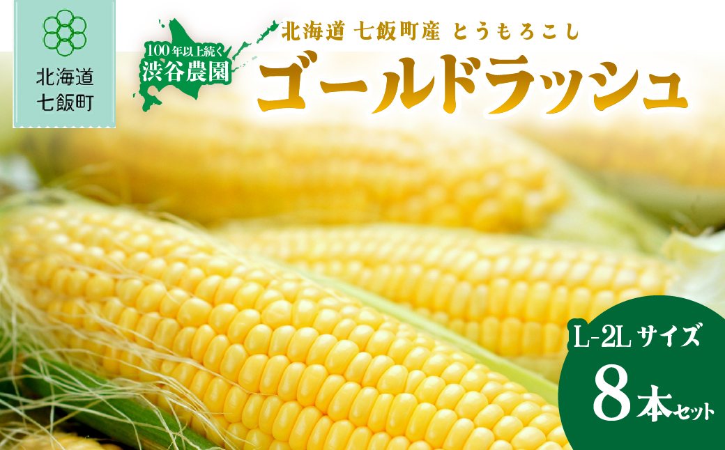 【先行予約 令和8年8月発送】北海道七飯町産 とうもろこし「ゴールドラッシュ」(L-2Lサイズ) 8本セット NABT006