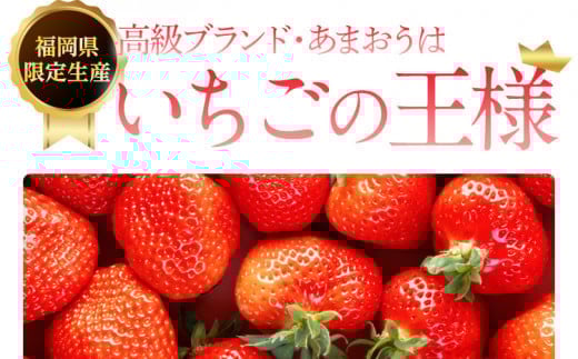 いちご あまおう 大木町 約270g×4パック 合計1080g 【2026年1月～4月に順次出荷予定】 CB223