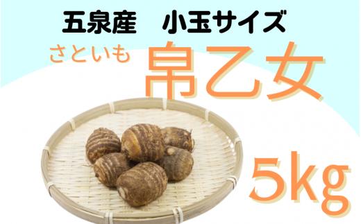 
            家庭用 小玉サイズ さといも「帛乙女（きぬおとめ）」 5kg(M・Lのいずれか)　※サイズ指定不可 五泉ブランド野菜 里芋 サトイモ  新潟県 五泉市 五泉市園芸組織連絡協議会
          