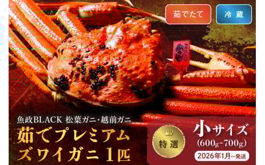 2026年1月～発送＜平日着＞【蟹の匠 魚政】茹で　プレミアムズワイガニ 魚政BLACK（松葉ガニ・越前ガニ）特撰 小サイズ（600～700g） 1匹 (2026年1月～発送)【平日】＜冷蔵＞ 松葉がに 松葉蟹 越前蟹 ズワイガニ 姿 ボイル 茹で　UO01295