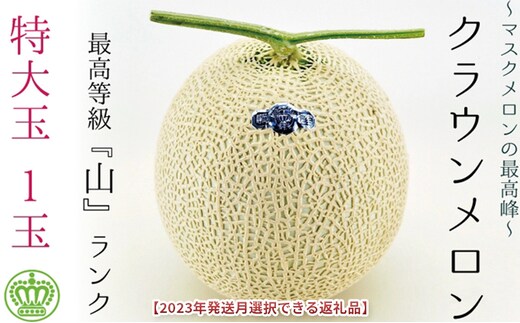 
										
										★発送月選択できる返礼品★ 『クラウンメロン（山等級）特大玉 1玉』 ギフト箱入り メロン 人気 厳選 ギフト 贈り物 デザート グルメ 袋井市8月発送
									