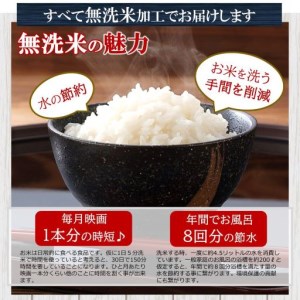 【定期便12回】くまもとの無洗米 10㎏