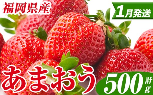 
                  ＜先行予約受付中！2027年1月中旬以降順次発送予定＞ 福岡県産 あまおう (計500g・250g×2パック) いちご イチゴ 苺 ストロベリー 果物 フルーツ おやつ デザート スイーツ 福岡県 小分け アマオウ 1月発送 期間限定 数量限定 冷蔵 【エフビーネット】as47-003
                