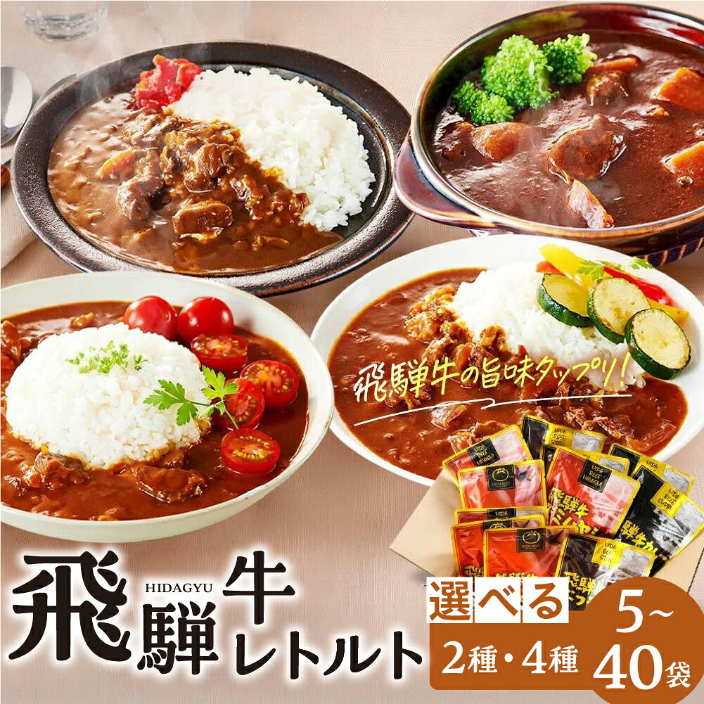 【ふるさと納税】訳あり 飛騨牛レトルト 2種 4種 選べる 5～40袋| 常温配送 飛騨牛 肉 牛 カレー ビーフカレー トマトカレー ビーフシチュー デミハヤシ 簡易包装 レトルトカレー レトルトごはん レトルト食品 レトルト常温 人気 ランキング 便利 ふるさと清見21 DC002VP