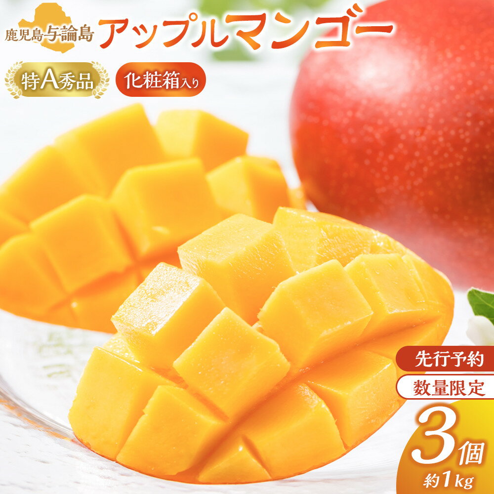 【ふるさと納税】【数量限定】鹿児島 与論島アップルマンゴー特A秀品3個約1kg 化粧箱入り【先行予約】 | 果物 アップルマンゴー アーウイン マンゴー フルーツ ご当地 グルメ 人気 おすすめ 送料無料 与論 与論島 ヨロン 鹿児島県 九州