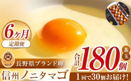 【６か月定期配送】信州ノニタマゴ　茶玉３０個 | 定位便 ノニタマゴ 茶玉 料理 卵 たまご 長野県 松本市 信州産 ふるさと納税