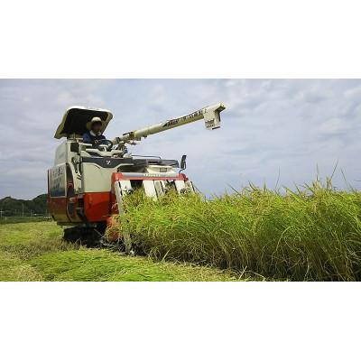 ふるさと納税 館山市 千葉県館山産ふさおとめ　精米　4.5kg |  | 01