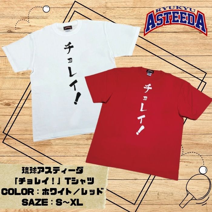 【ふるさと納税】琉球アスティーダ　チョレイTシャツ 卓球 チョレイ Tリーグ 卓球リーグ 応援グッズ てぃーだくん ピンポン table tennis