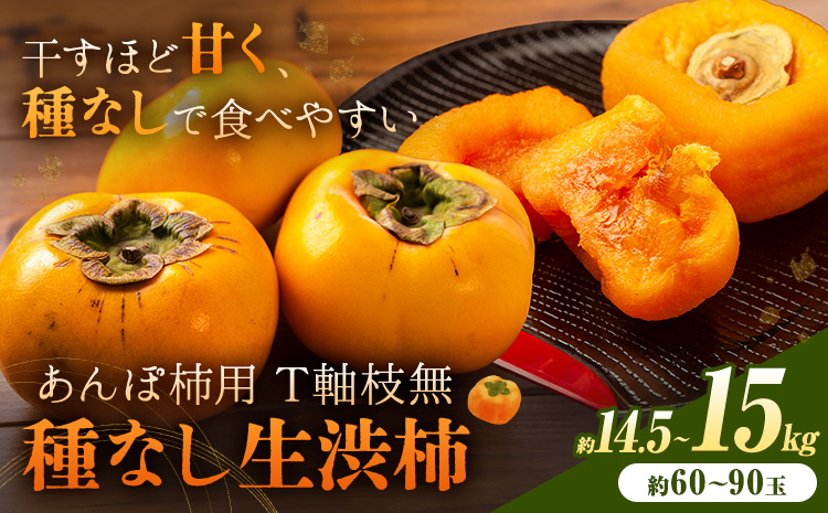 柿 かき あんぽ柿用 T軸枝無 種なし 生渋柿 14.5~15kg ふるさと農園《10月中旬-11月上旬頃より発送予定(土日祝除く)》 和歌山県 日高町 贈り物 ギフト